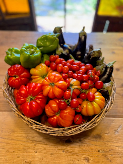 Half Day Tuscan Farm Experience